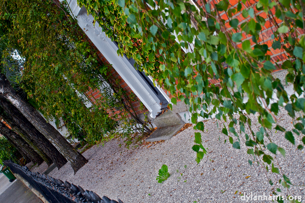 Image: Image 'dublin (iv) 6'.