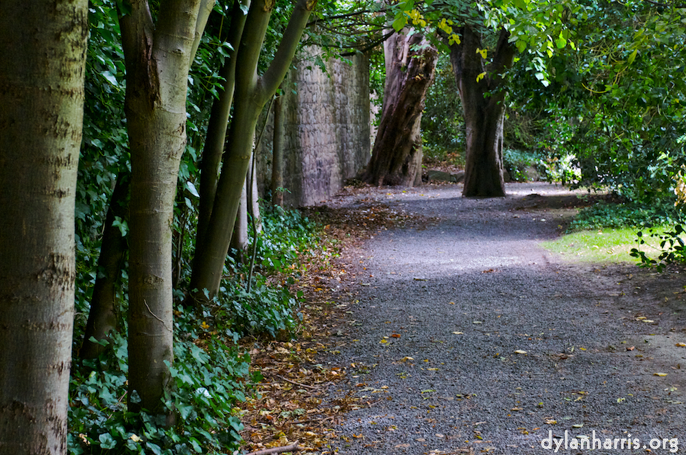 image: This is &lsquo;dublin (iii) 3&rsquo;.