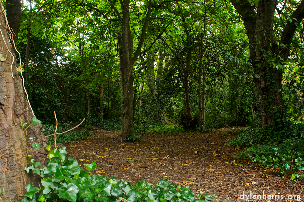 image: This is &lsquo;dublin (iii) 6&rsquo;.