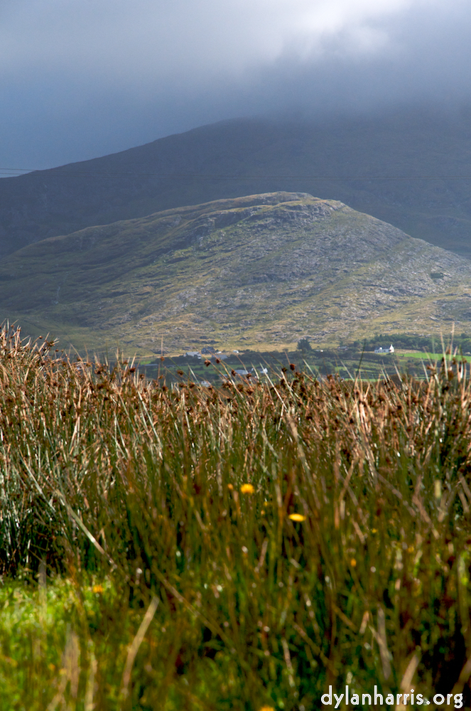 image: This is &lsquo;mayo (i) 4&rsquo;.