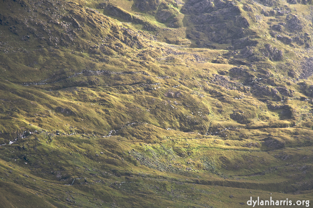 image: This is &lsquo;mayo (i) 5&rsquo;.