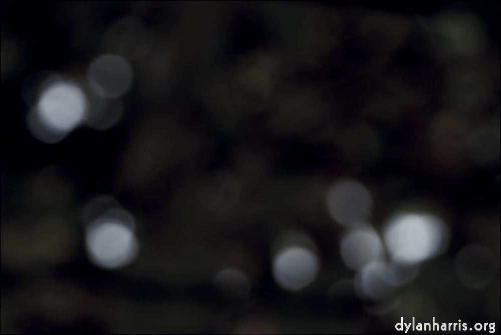 Image: Image 'leaf (ii) 2'.