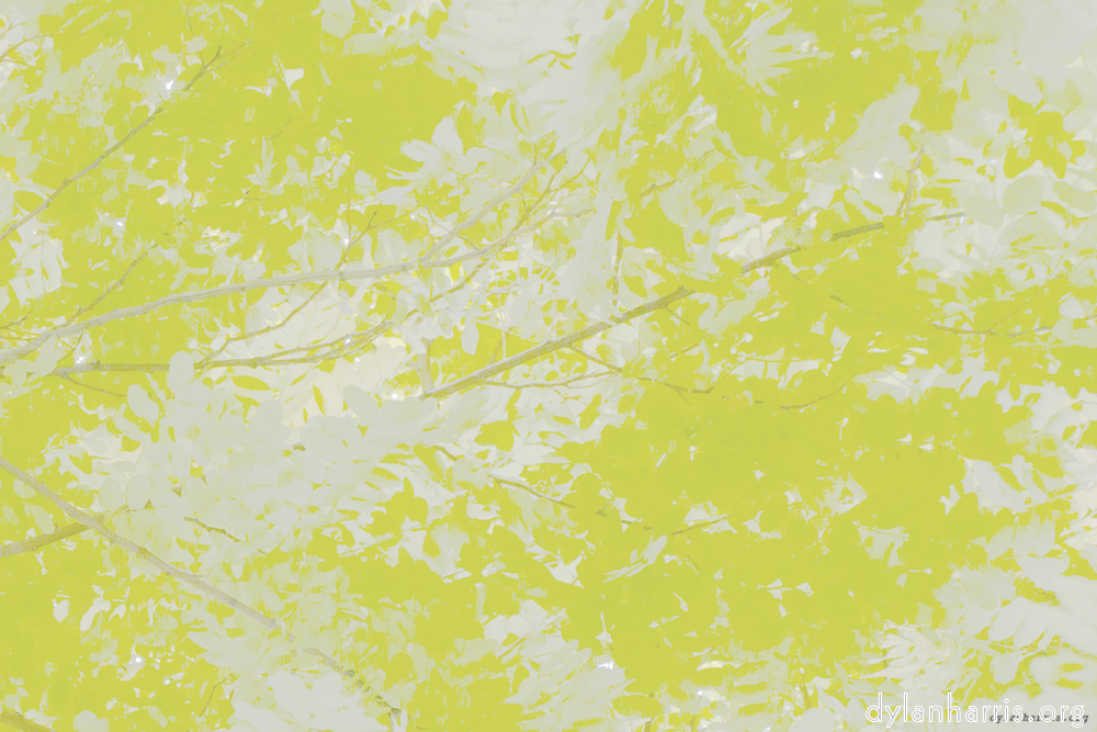 Image 'leaf (ii) 4'.