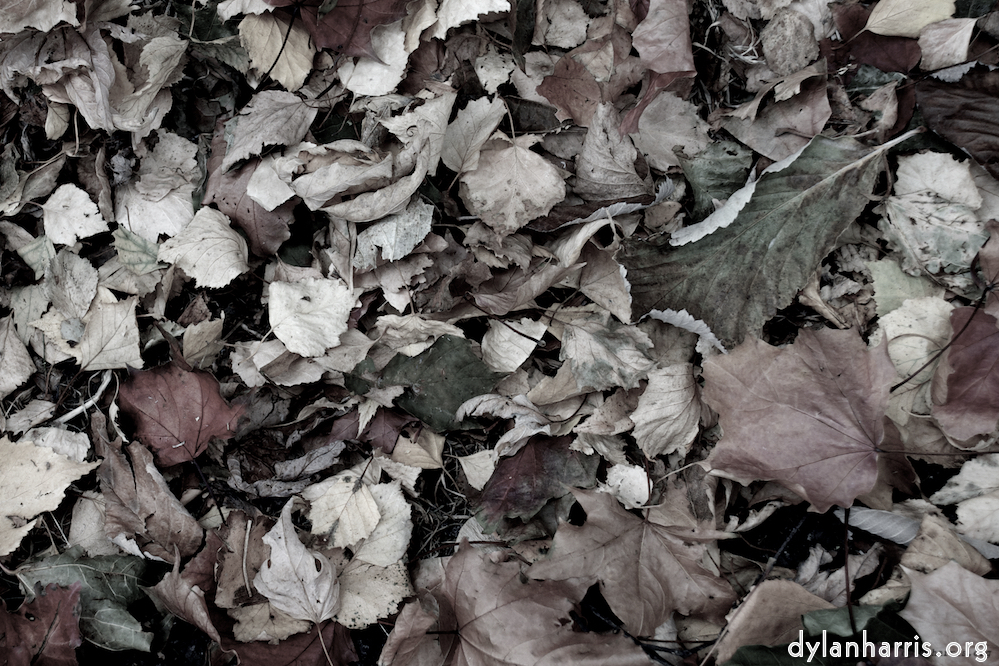 Image: Image 'dublin (v) 1'.