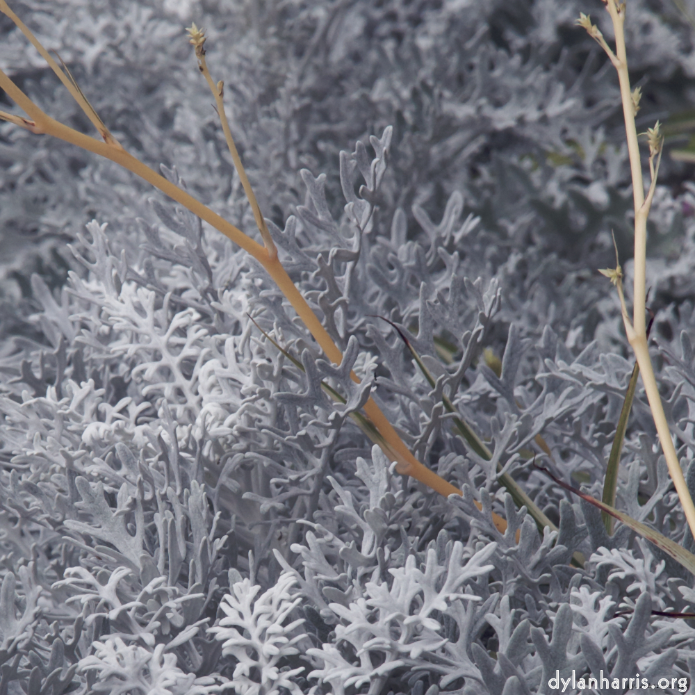 Image: Image 'dublin (v) 10'.