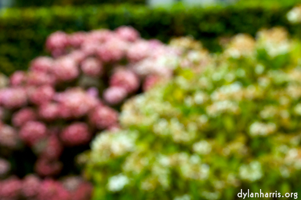 Image 'dublin (v) 3'.