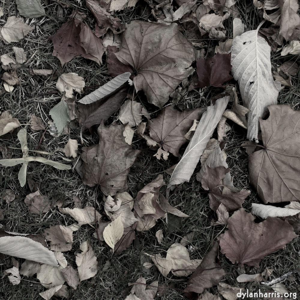 Image: Image 'dublin (v) 6'.