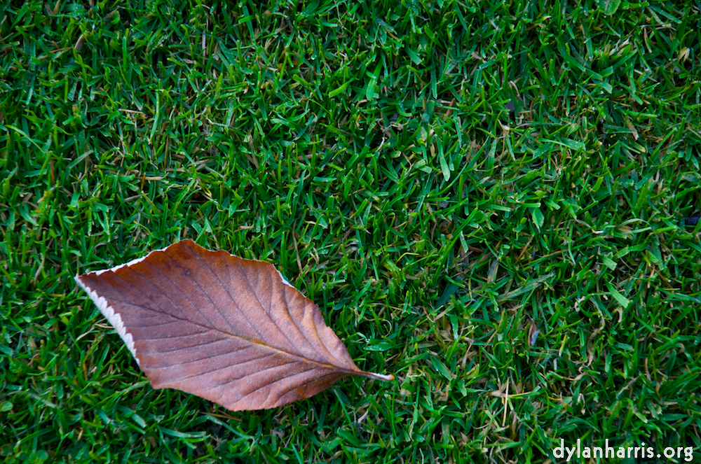 Image: Image 'dublin (v) 7'.