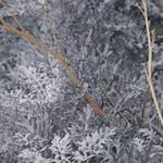 Tenth image from the photoset 'dublin (v)'.