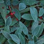 Eighth image from the photoset 'dublin (v)'.