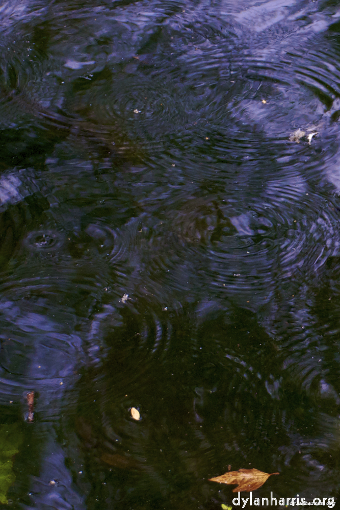 Image 'water (i) 4'.