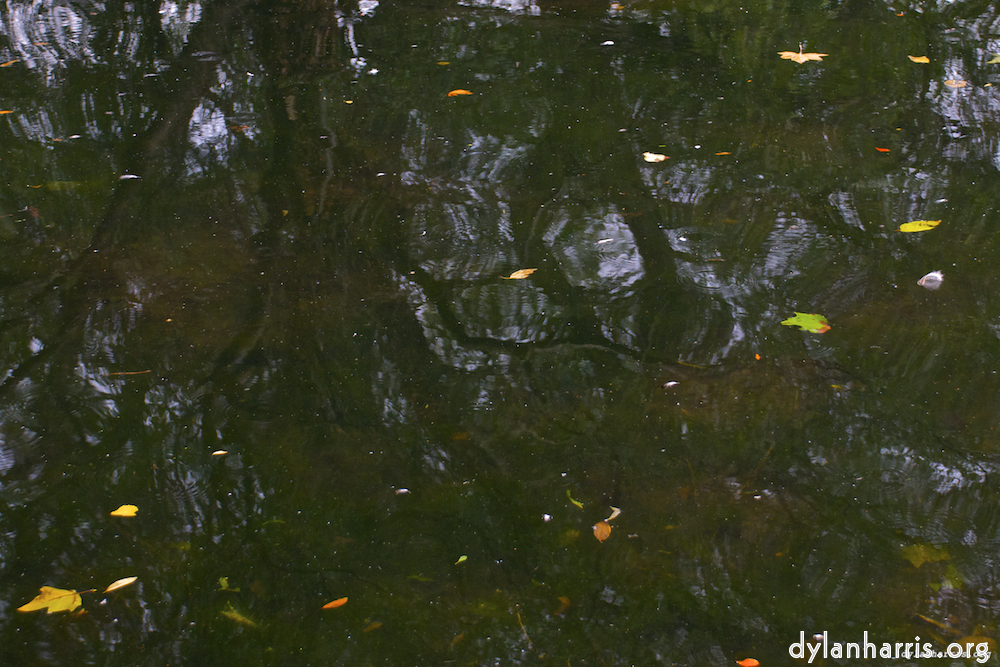 Image 'water (i) 6'.