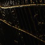 Fifth image from the photoset 'press'.