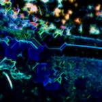 First image from the photoset 'glow (i)'.