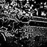 Fourth image from the photoset 'glow (i)'.