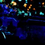 Seventh image from the photoset 'glow (i)'.