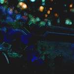 Third image from the photoset 'glow (ii)'.