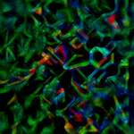 Fourth image from the photoset 'glow (iii)'.