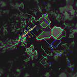 image: Ren&eacute; Van Valckenborch