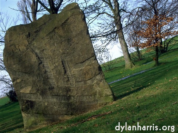 Image 'scene nerd 5'.