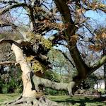 Third image from the photoset 'see nerd (i)'.