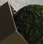 Seventh image from the photoset 'see nerd (i)'.