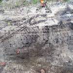 Ninth image from the photoset 'see nerd (i)'.