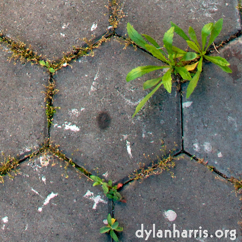 image: This is &lsquo;see nerd (ii) 1&rsquo;.