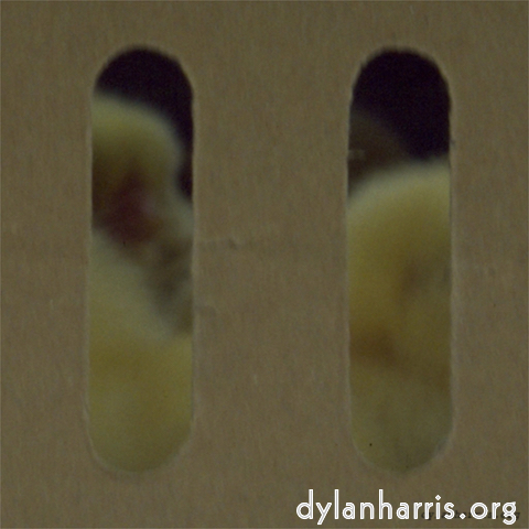 Image 'see nerd (ii) 2'.