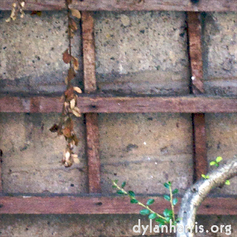 Image 'see nerd (ii) 5'.