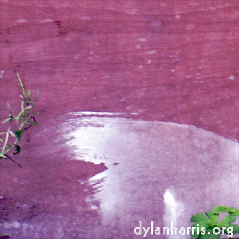 Image: Image 'see nerd (ii) 7'.