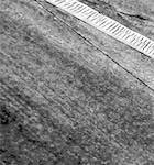 Fifteenth image from the photoset 'see nerd (ii)'.