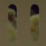 Second image from the photoset 'see nerd (ii)'.