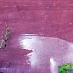 Seventh image from the photoset 'see nerd (ii)'.