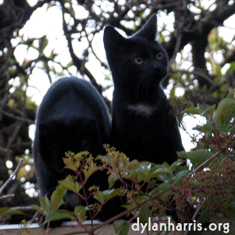 Image 'see nerd (iii) 10'.