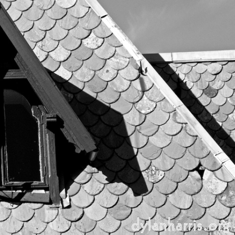 Image 'see nerd (iii) 12'.