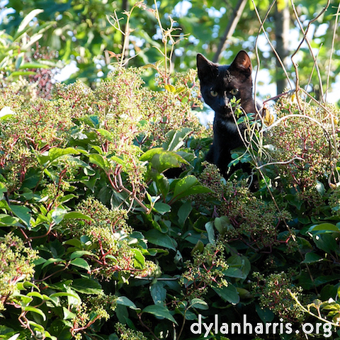 Image 'see nerd (iii) 2'.