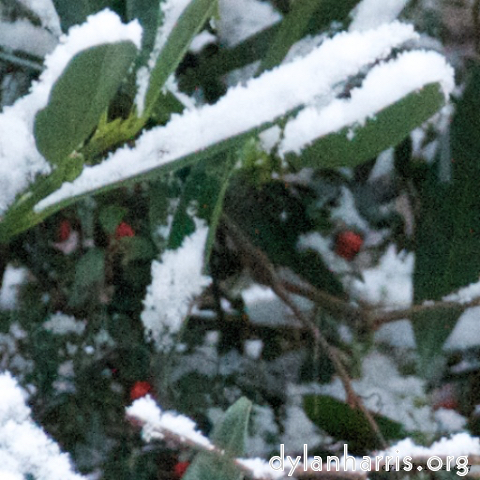 Image 'see nerd (iv) 12'.