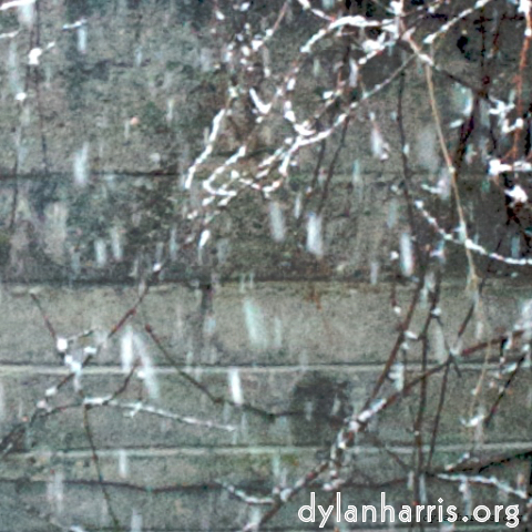 Image: Image 'see nerd (iv) 3'.