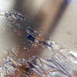 Thirteenth image from the photoset 'see nerd (iv)'.