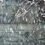 Third image from the photoset 'see nerd (iv)'.