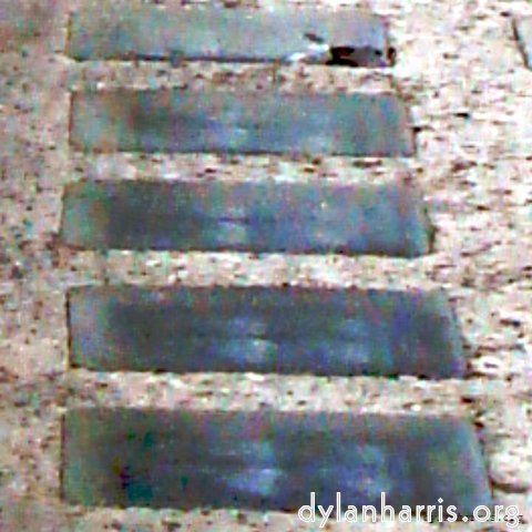 Image 'see nerd (v) 5'.