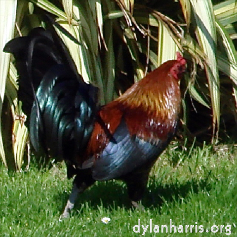 Image 'see nerd (vi) 1'.