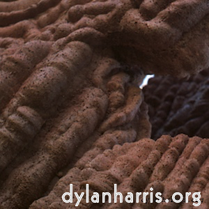 Image 'see nerd (vi) 3'.