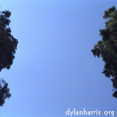 Image 'see nerd (vi) 8'.