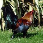 First image from the photoset 'see nerd (vi)'.