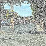 Fourteenth image from the photoset 'see nerd (vi)'.