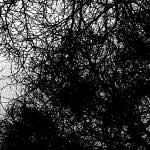 Sixteenth image from the photoset 'see nerd (vi)'.