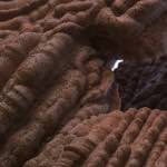 Third image from the photoset 'see nerd (vi)'.