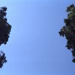 Eighth image from the photoset 'see nerd (vi)'.